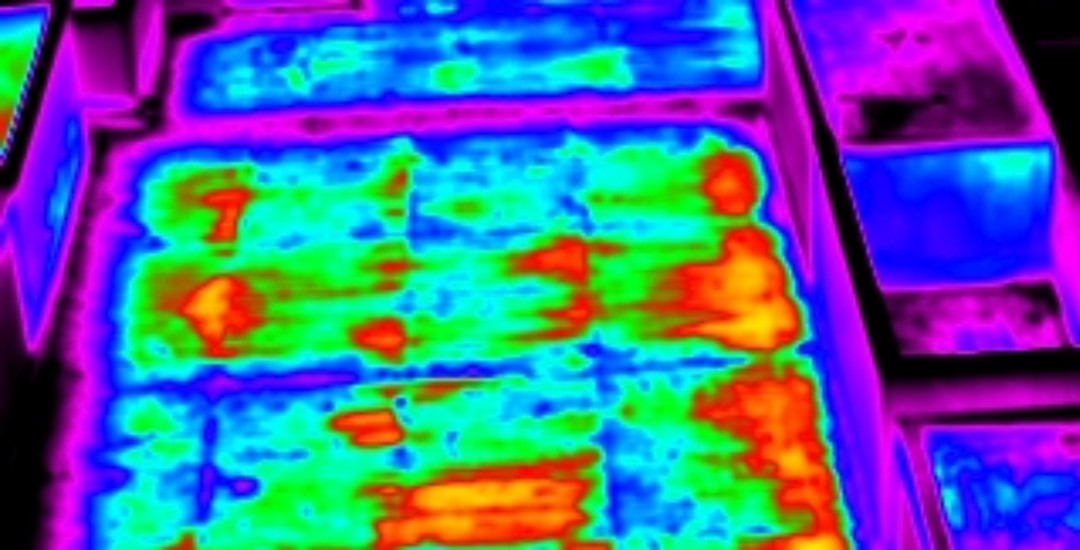 FESB_roof